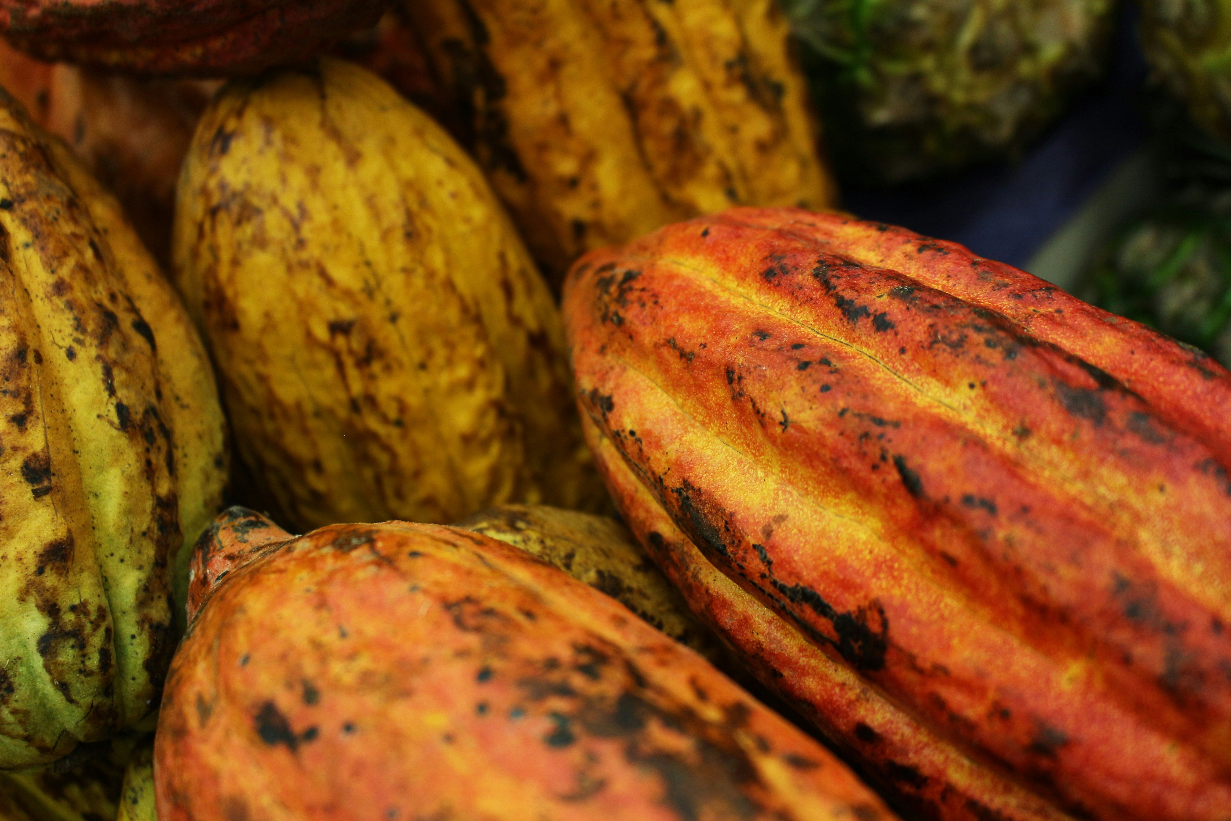 Raw cacao